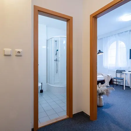 Garni ホテル Orlová