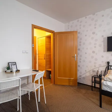 Garni ホテル Orlová